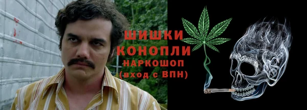 ПСИЛОЦИБИНОВЫЕ ГРИБЫ Заволжск