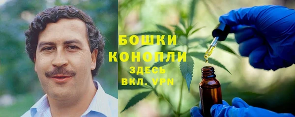 ПСИЛОЦИБИНОВЫЕ ГРИБЫ Заволжск