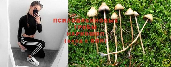 стафф Заводоуковск