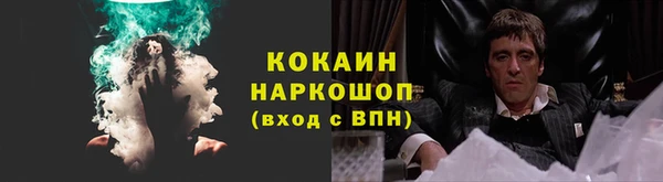 стафф Заводоуковск