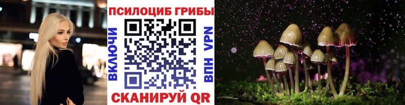 Псилоцибиновые грибы GOLDEN TEACHER  Серпухов 